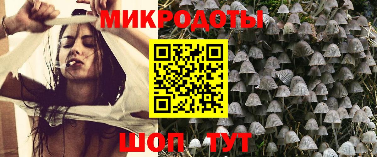 Псилоцибиновые грибы Psilocybine cubensis Звенигород