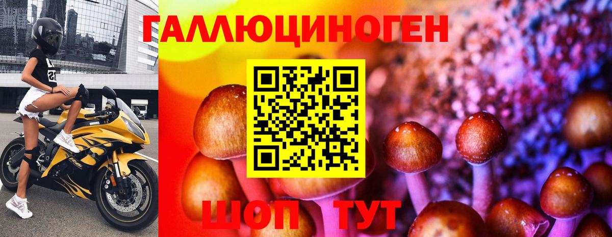 Конопля Звенигород